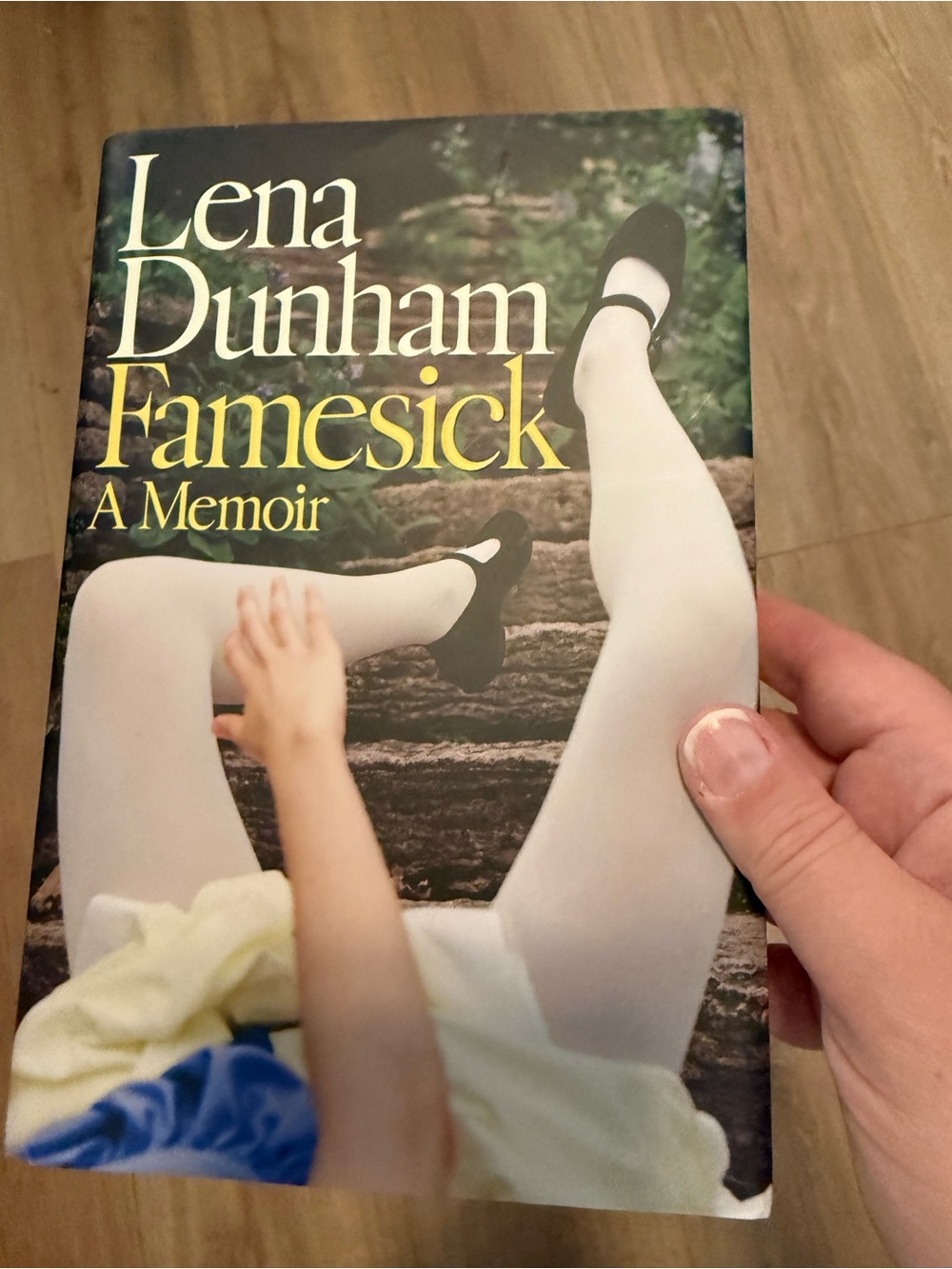 Lena Dunham Famesick Hardcover
